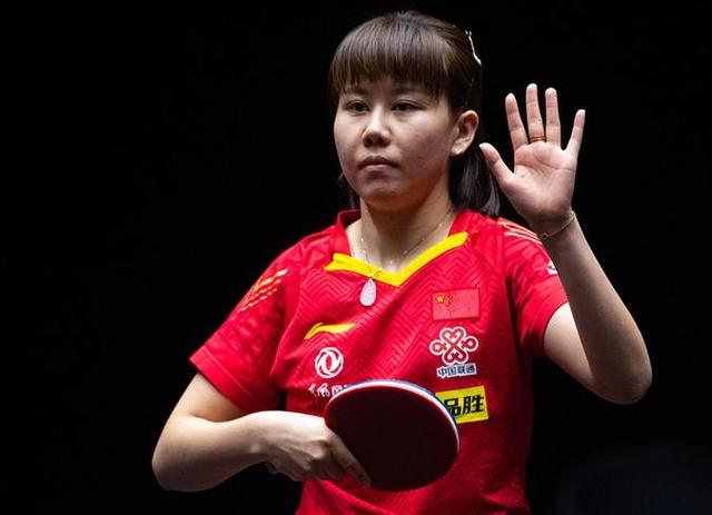 赏樱游客蜂 赏樱游客蜂