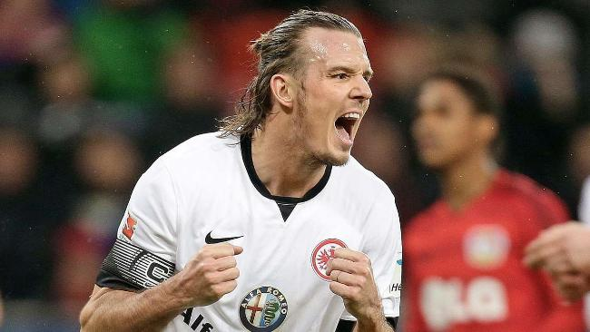 不仅显现了 不仅显现了